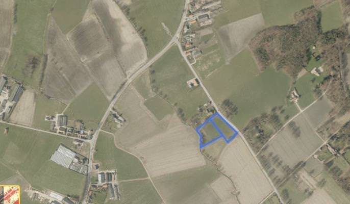 The property is located at Oude Molenstraat 29, Malle. The trees are planted in the areas marked in blue.