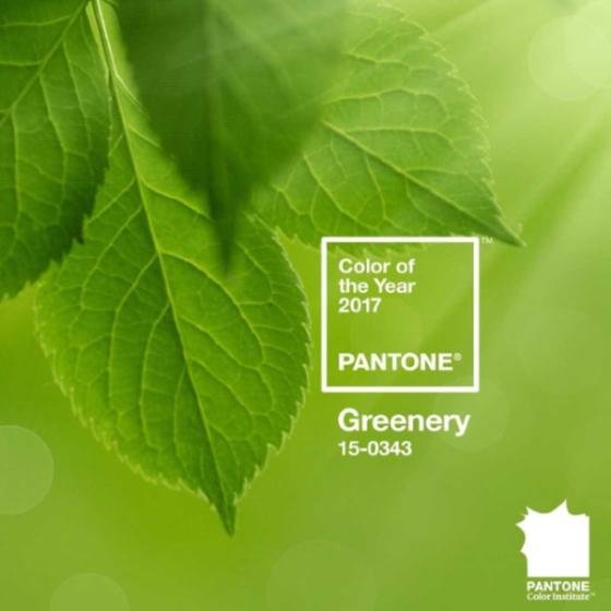 Pantone Unveils Color of the Year 2017: PANTONE 15-0343 Greenery