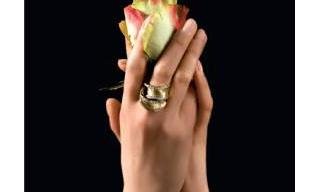 CIJ International Jewellery Trends Guide 2012 out now 