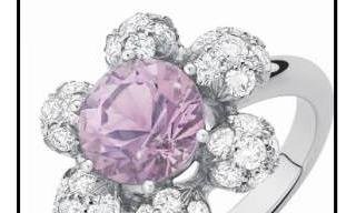 Lorenza Paris - Flocon Collection