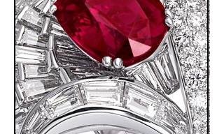 Picchiotti celebrates its 50th Anniversary