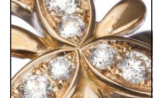 Vanessa Martinelli introduces Dalal collection