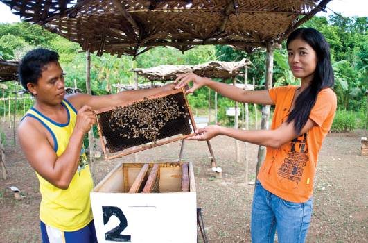 Among the SPSF's environmentally-oriented activities are classes on raising honey bees.