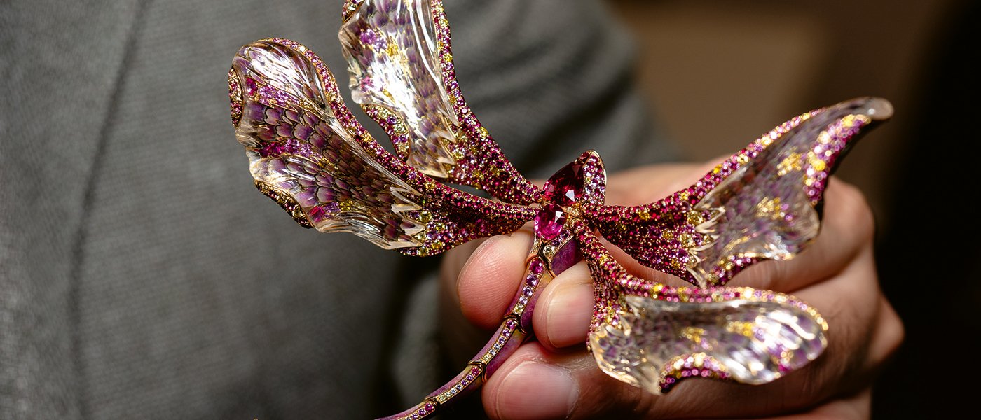 Chong Ho: the improbable encounter between a dragonfly and a fish