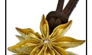 Noga Goldstein - The Hidden Seeds Collection