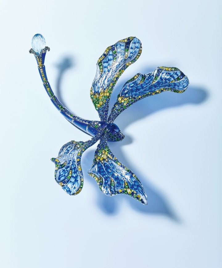 Dragonfly Fish brooch, sapphire, tsavorite, topaz, crystal, golden diamond, diamond, lapis, enamel, 18k yellow gold