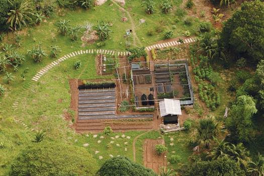 The SPSF's model farm is used to teach the local community about the benefits of organic farming.