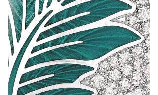 Victor Mayer - Tropical zest for life