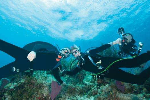 Avid scuba divers as well as jewellers, Lorne and Rose Mueller were instrumental in protecting sharks in Palau.