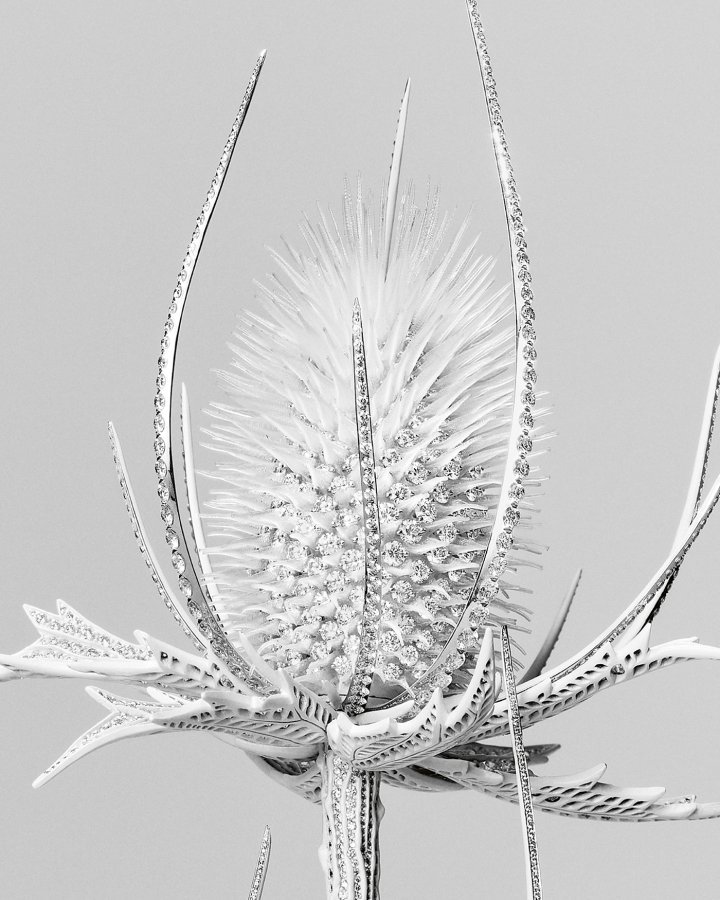 Boucheron, close-up of the Thistle, Composition N° 5