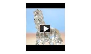 Video – Swarovski / SCS Annual Edition 2014 Horse Esperanza