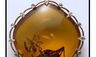 Amazing Amber - 10 May – 8 September 2013 National Museum of Scotland Edinburgh