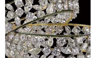 Dolly Oberoi unveils “The Lotus Goddess” Collection