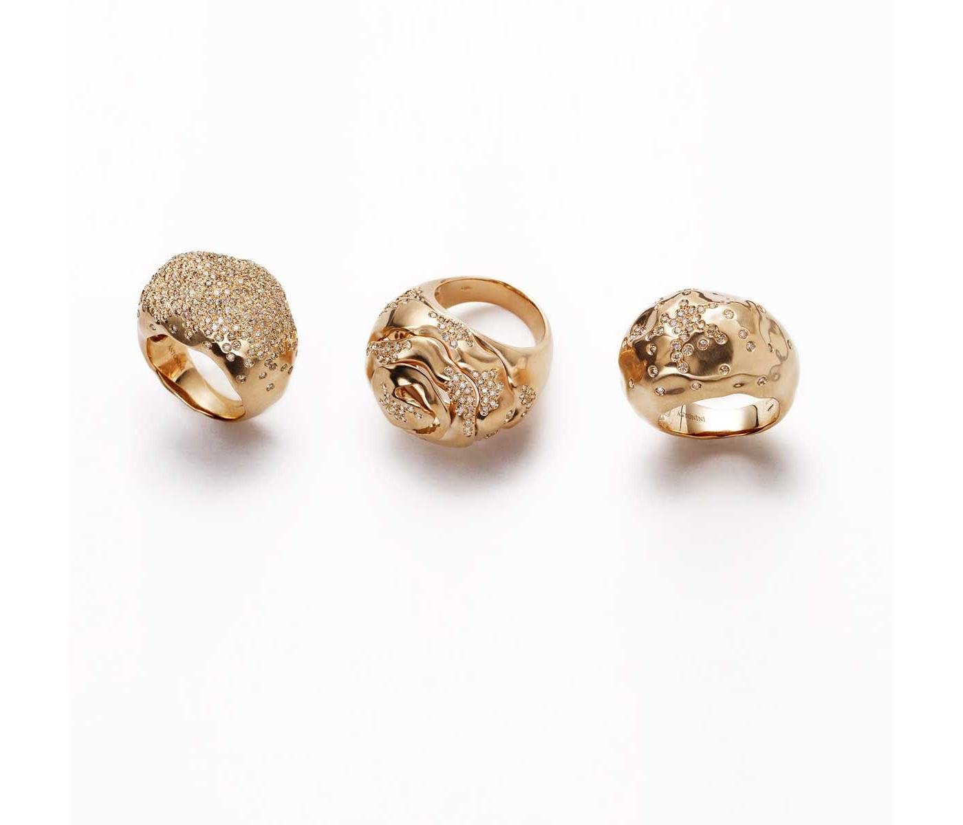Rings by Antonini
