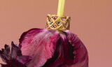 Buccellati: the fabric of jewellery